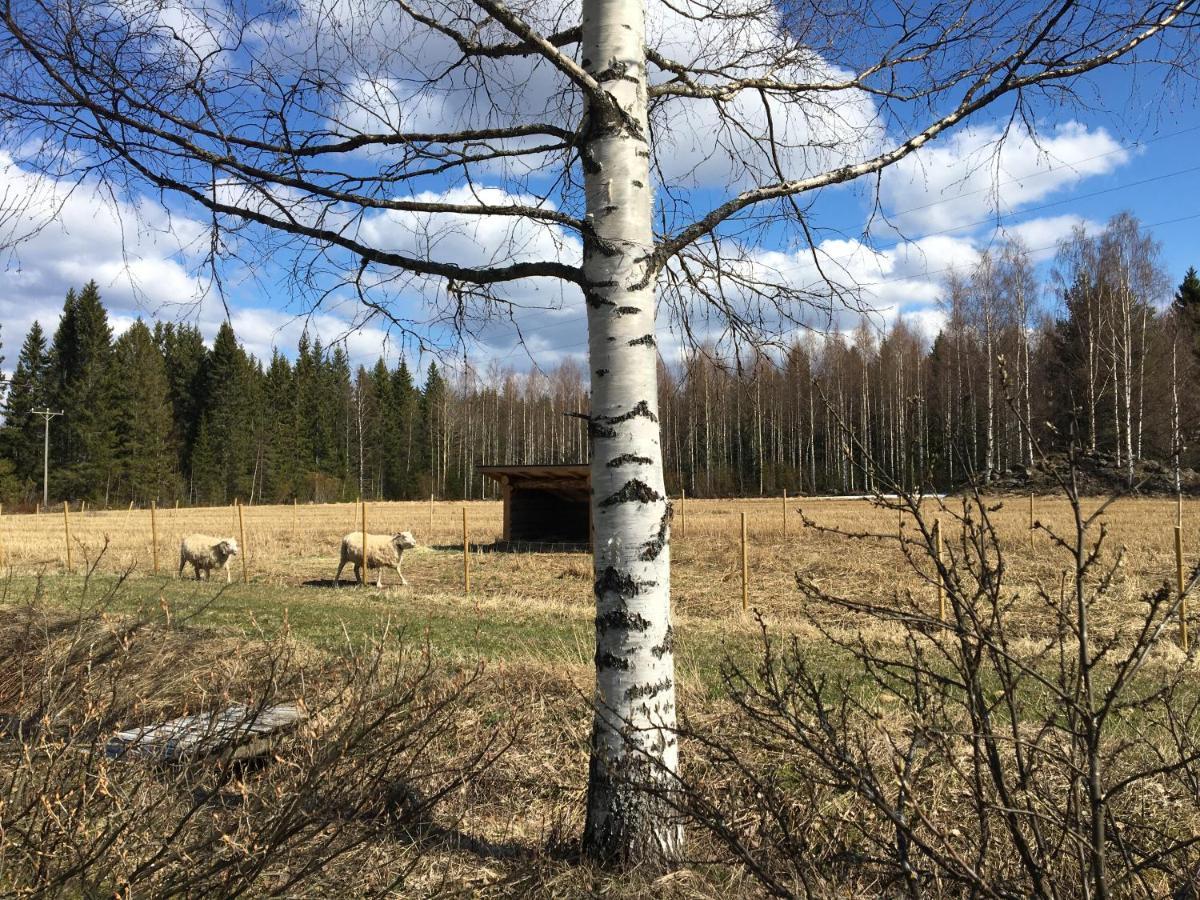 Kivirannan Tupa Villa Ylivieska Esterno foto