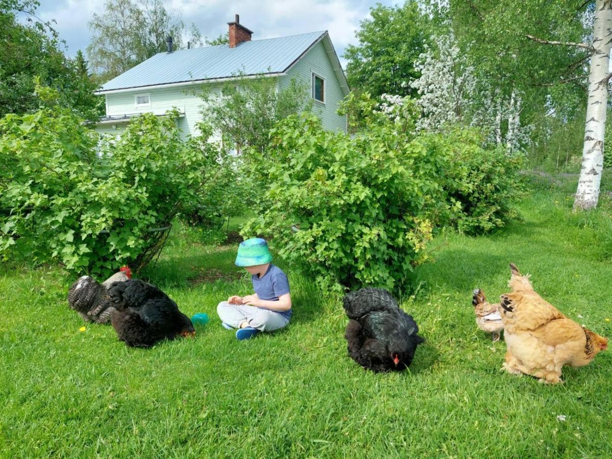 Kivirannan Tupa Villa Ylivieska Esterno foto