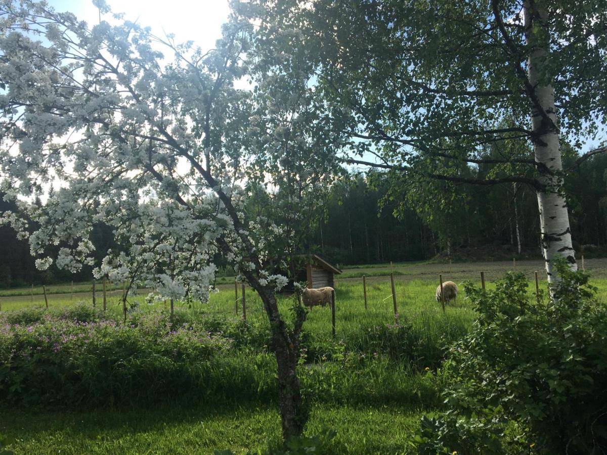 Kivirannan Tupa Villa Ylivieska Esterno foto