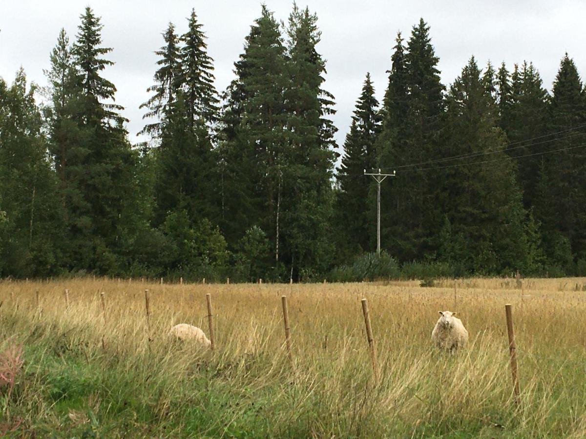 Kivirannan Tupa Villa Ylivieska Esterno foto